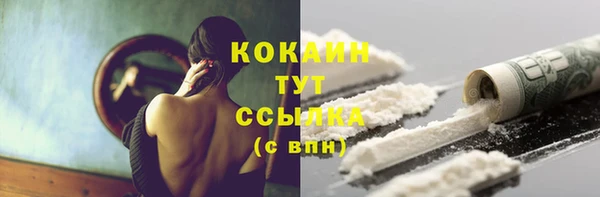 гидра Коряжма