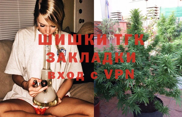 гидра Коряжма
