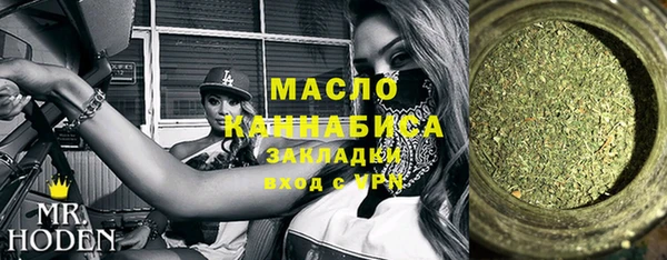 гидра Коряжма