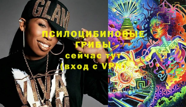 гидра Коряжма