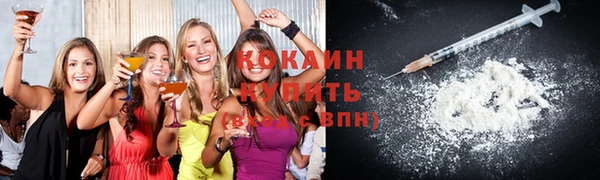 гидра Коряжма