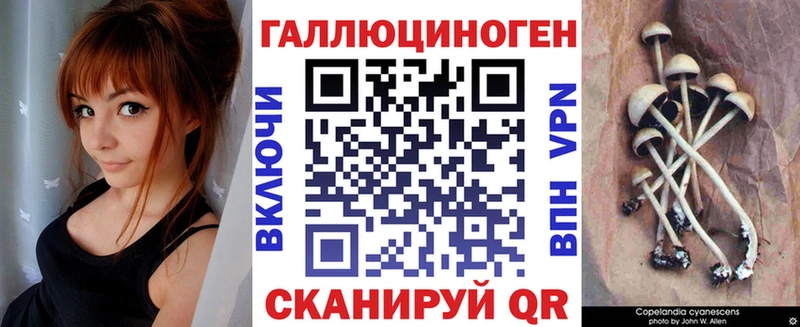 Псилоцибиновые грибы прущие грибы  Кинешма 