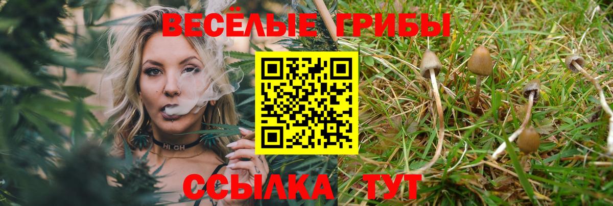 Псилоцибиновые грибы Psilocybine cubensis  Галлюциногенные грибы Psilocybe  Вход с VPN  Кинешма 